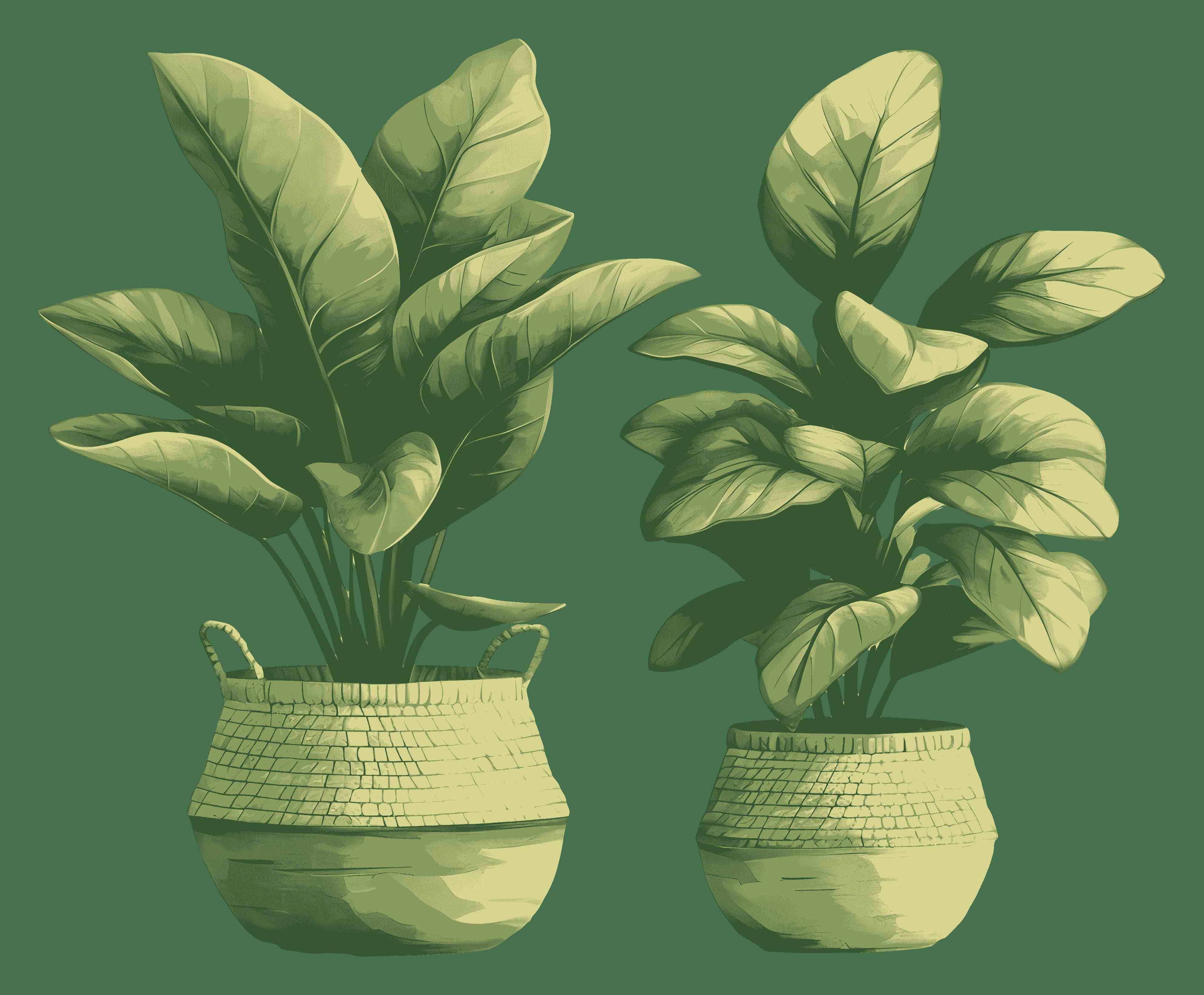 Maison & Décoration